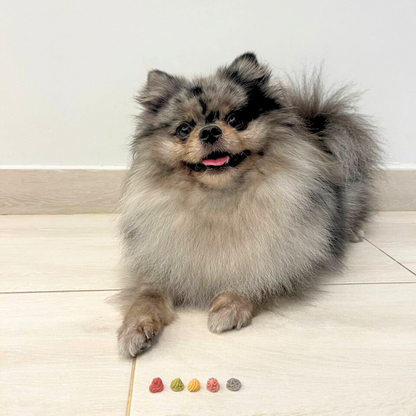 Yoghurt Gems Minis