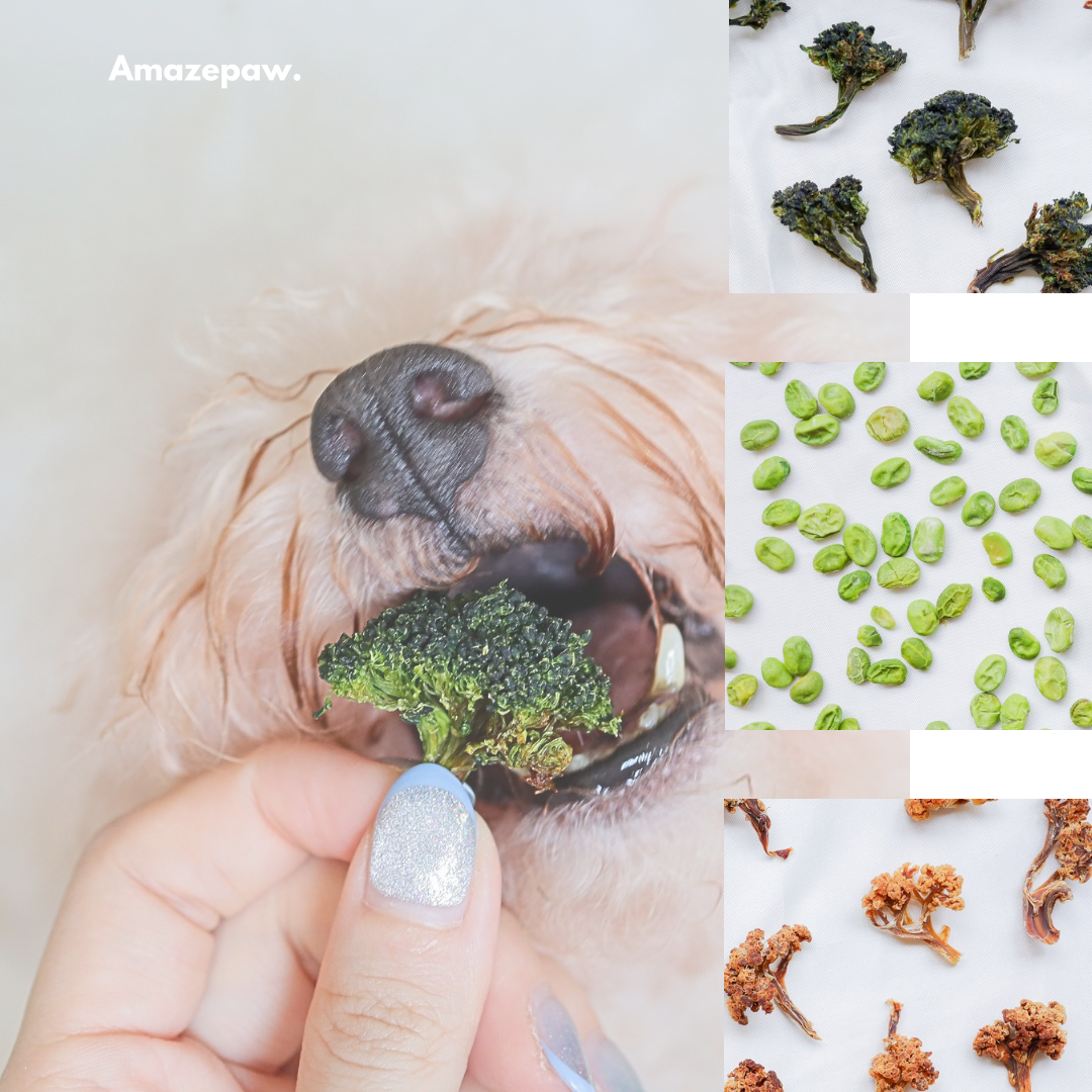 Boo’s Veggie Medley