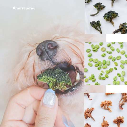Boo’s Veggie Medley